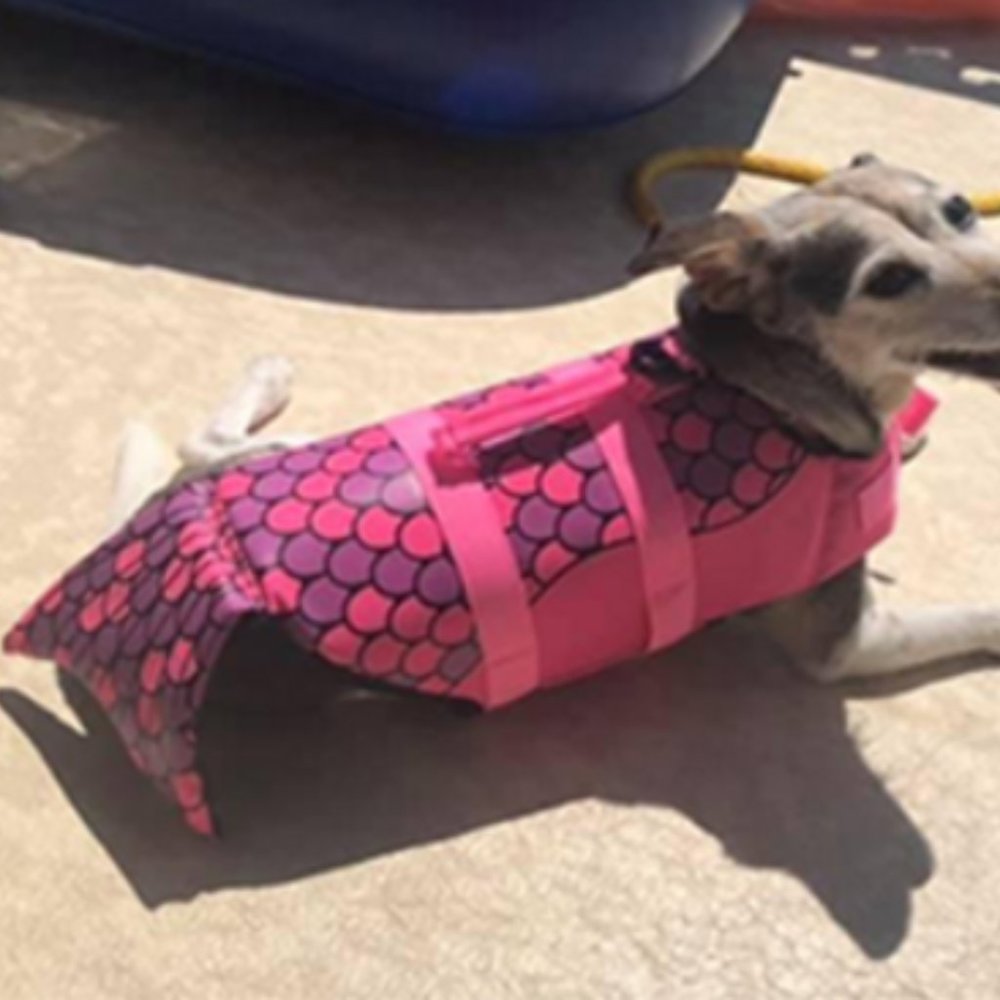 Dog Life Jacket Pet Safety Vest, Adjustable Dog Lifesaver Preserver with Rescue